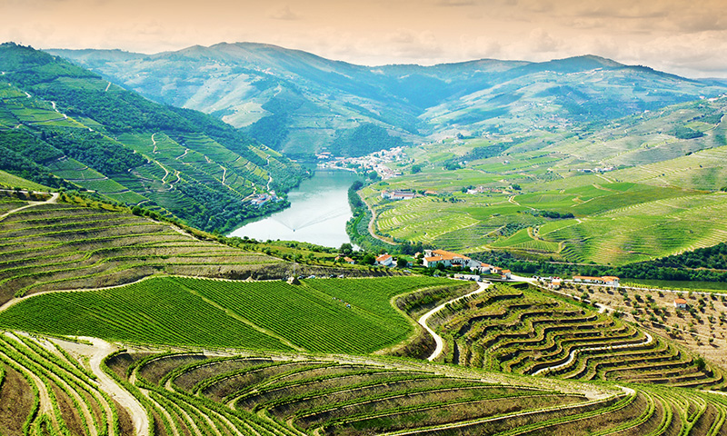 Un río domeñado por las presas y la mano del hombre... CRUCEROS DUERO CRUCEIROS DOURO DOURO RIVER CRUISES CRUCEROS POR EL DUERO CRUCEROS PORTUGAL CRUCEROS FLUVIALES OTOÑO CRUCEROS FLUVIALES VERANO